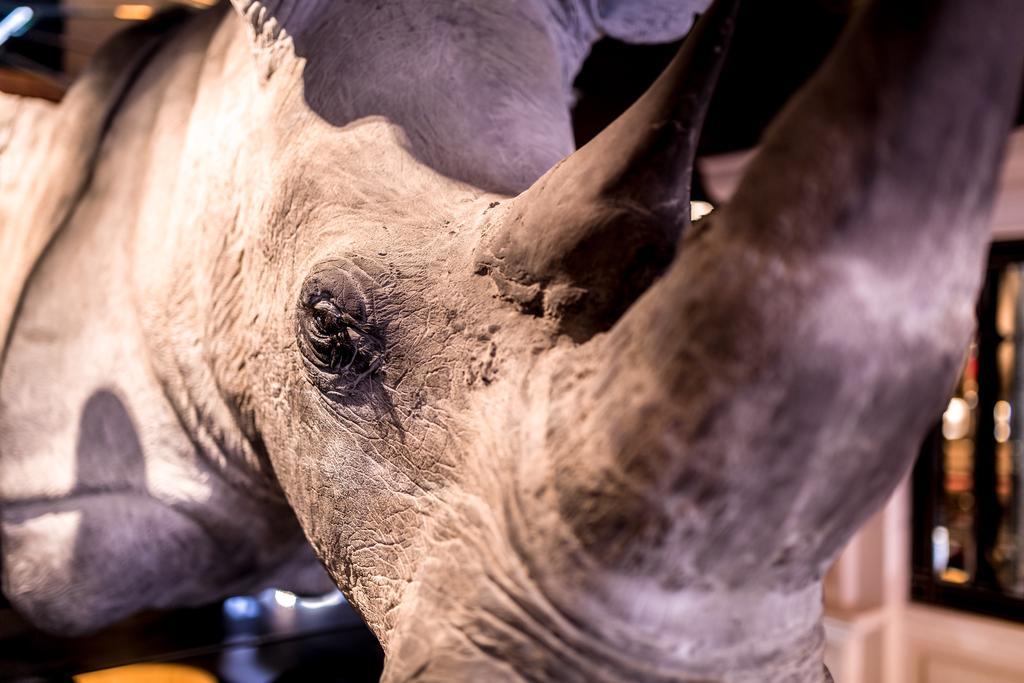 Hotel Maison Albar- Le Champs-elysées